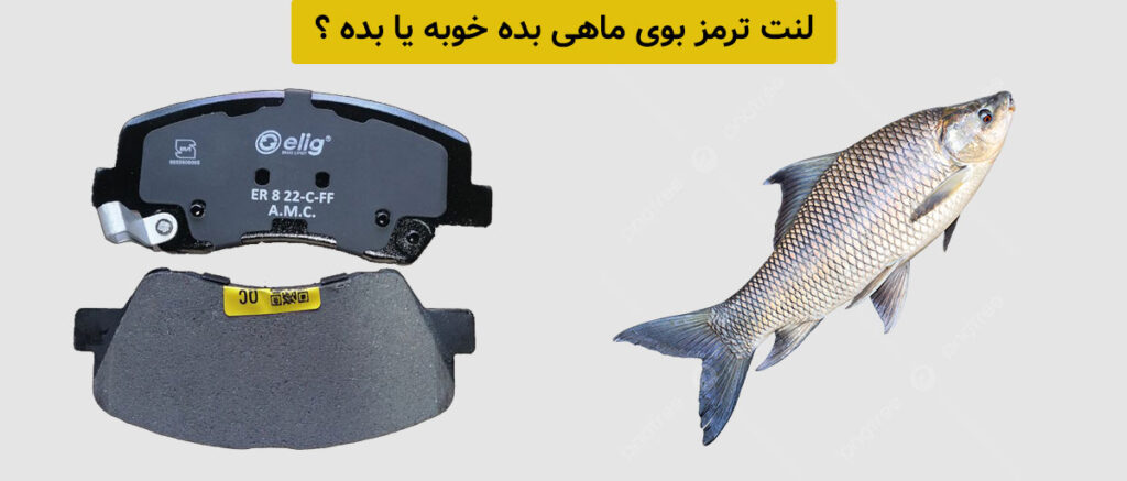 لنت ترمزی که بوی ماهی میده خوبه یا بده ؟